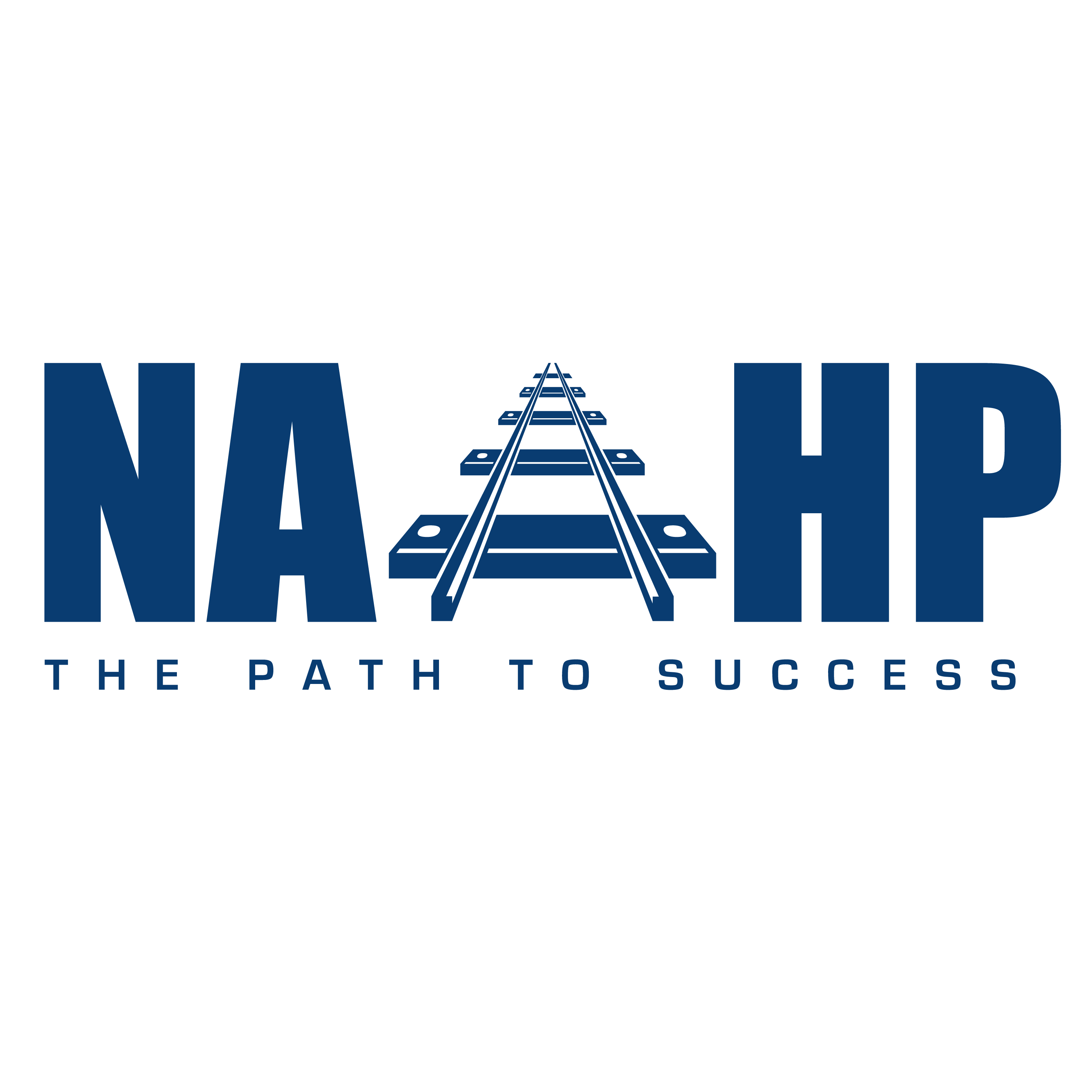 National Alliance for the  Advancement of Haitian Professionals (NAAHP)